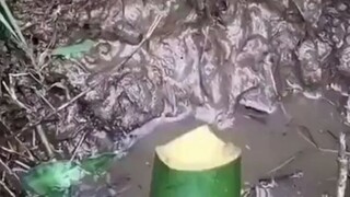 jangan salah 🙃🙃🙃