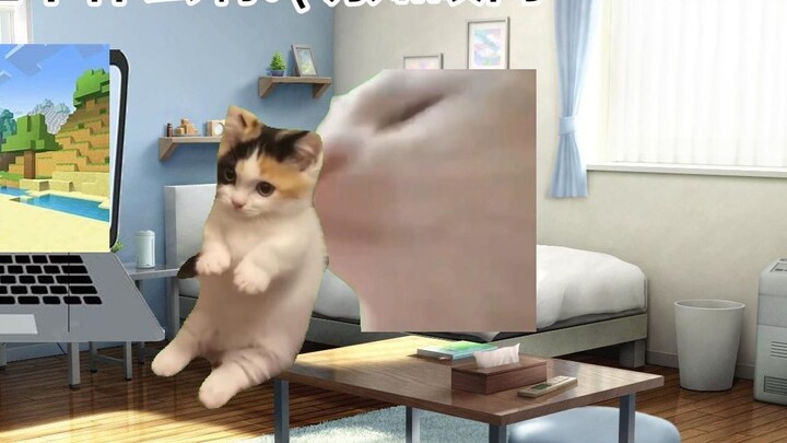 [Cat meme] My sister insisted on watching me play Minecraft