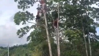Masa kecil kurang bahagia.