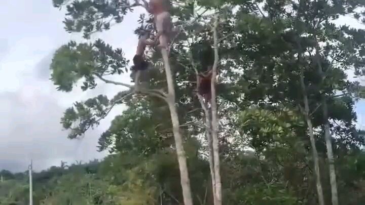 Masa kecil kurang bahagia.