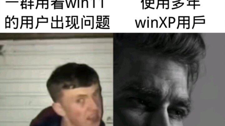 Sự khác biệt giữa người dùng hệ điều hành Win11 và XP