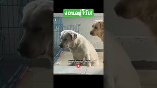 งอนอยู่โว้ย!