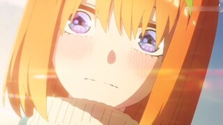 [Đám cưới hoa ngũ quý/thói quen ngàn lớp] Thói quen ngàn lớp của Yotsuba.