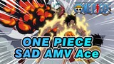 ONE PIECE|[Compilation]Didn't you say you'd never die, Ace?