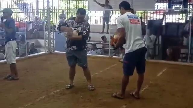 silver kanowayon in action