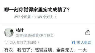 At what moment did you feel like your pet at home had become a sentient being?