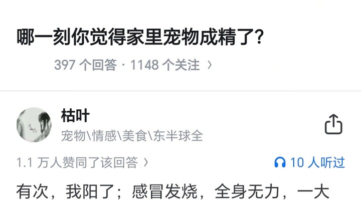 At what moment did you feel like your pet at home had become a sentient being?