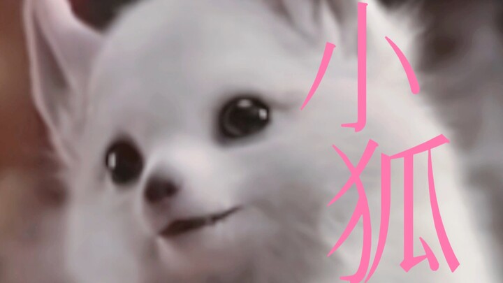 So cute and cuddly—never seen such an adorable little fox! Stop teasing it; it’s just a Hakimi who’s