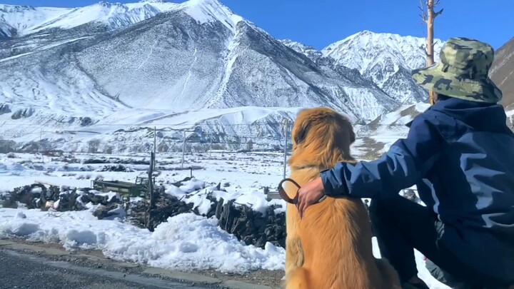 The young man spent all his money hiking in Tibet, but was kidnapped by a cat again when he returned