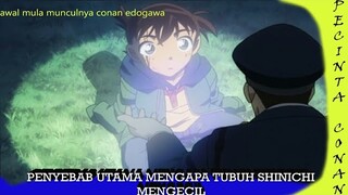 Alur cerita Penyebab Utama Mengapa Tubuh Shinichi Bisa Menyusut