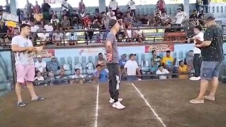 3cock super ulutan at baao cockpit arena. 1st fyt win. super sweater