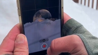 "You really can't scroll past this without having some artistic flair for photography."