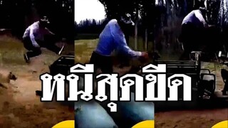 รวมคลิปตลกๆ : นี่มันไอ้สมหมาสุดโหดในตำนาน!!