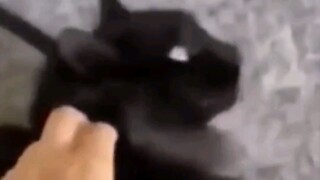 تعال، احميني!