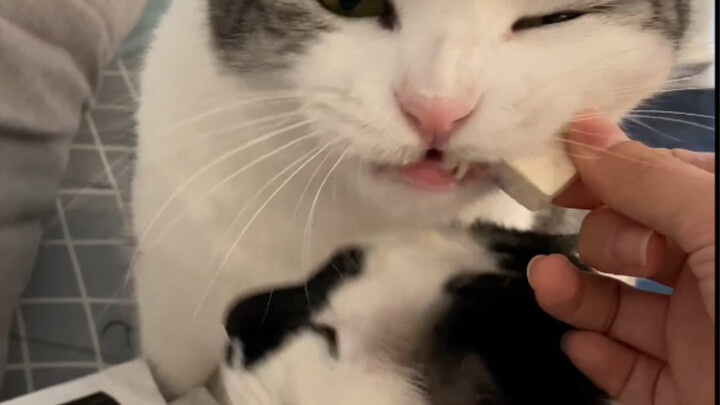 You feed him, and you get anxious too.