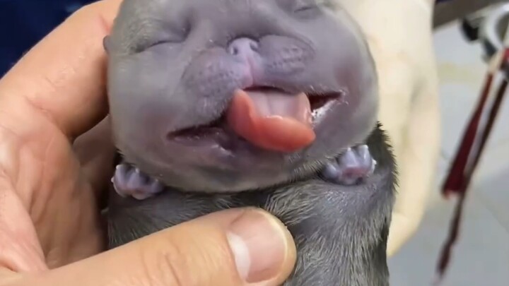 นี่มันเป็นสิ่งมีชีวิตอะไรกันนะ?