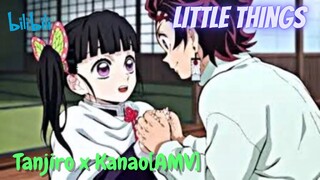 Tanjiro x Kanao [AMV] // Little Things