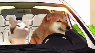 Dù thế nào đi nữa, hôm nay bạn phải đi vào