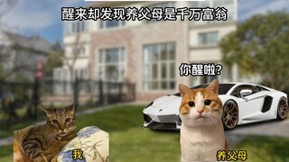 先天少爷圣体