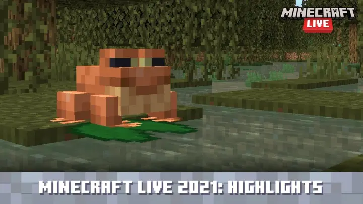 Minecraft Live 2021: Update Highlights