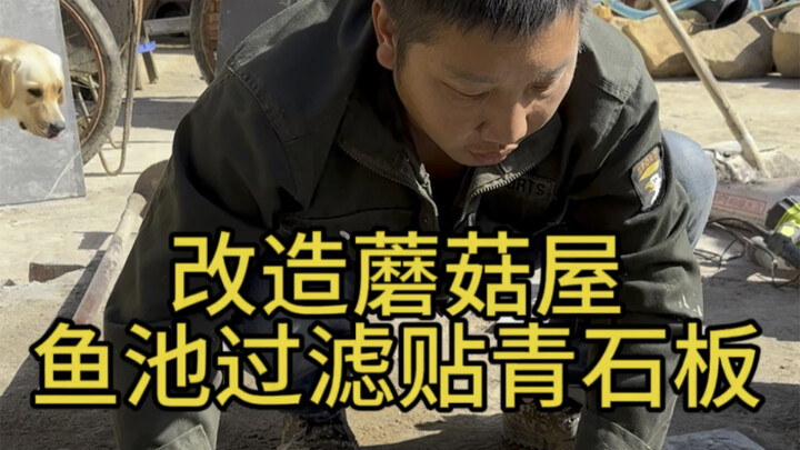Ông xã bỏ 5 nghìn làm hệ thống lọc hồ cá trị giá mấy chục nghìn, đèn bên hồ cá cũng đã lắp xong, đá 