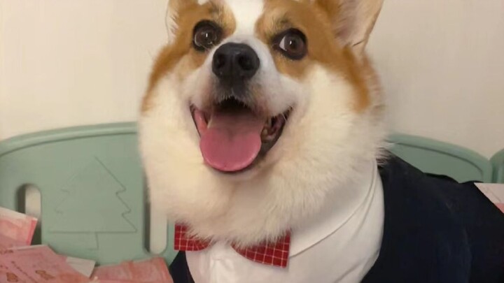 الكوري: هذه أول مرة أشارك في برنامج “لا تتردد في الإعجاب”، أرجوكم اضغطوا لي على زر الضوء الساطع!