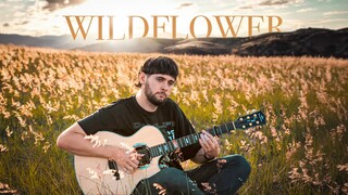 Billie Eilish - WILDFLOWER - Fingerstyle Guitar Cover