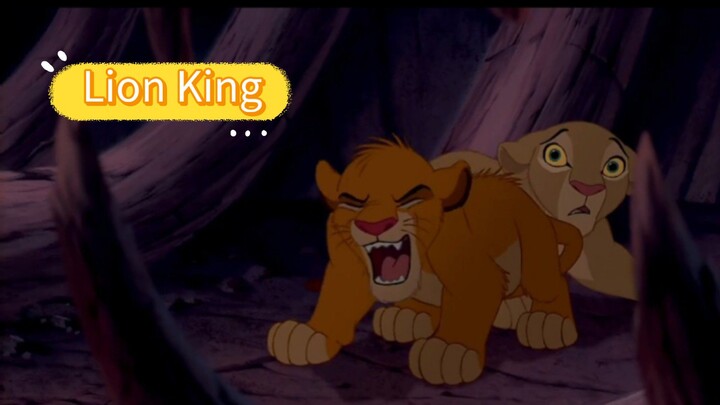 Lion | king
