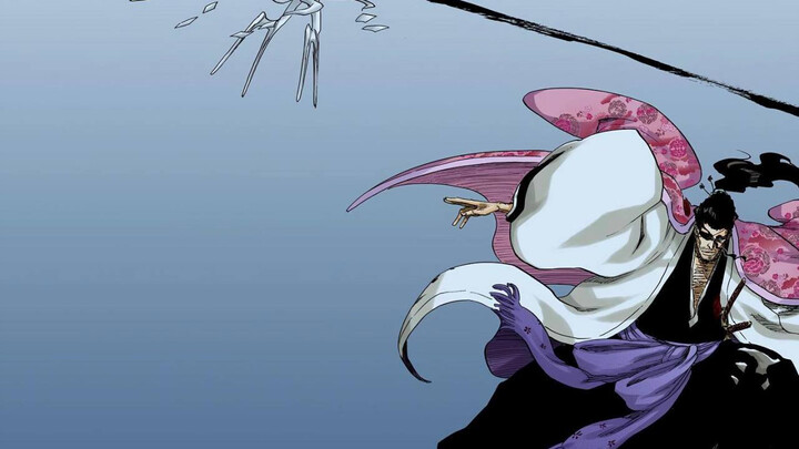 This is the most brain-burning Bankai I have ever seen! It is also the most gorgeous one.