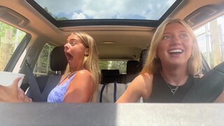 Merekam perjalanan memberi makan satwa liar yang "menyenangkan"