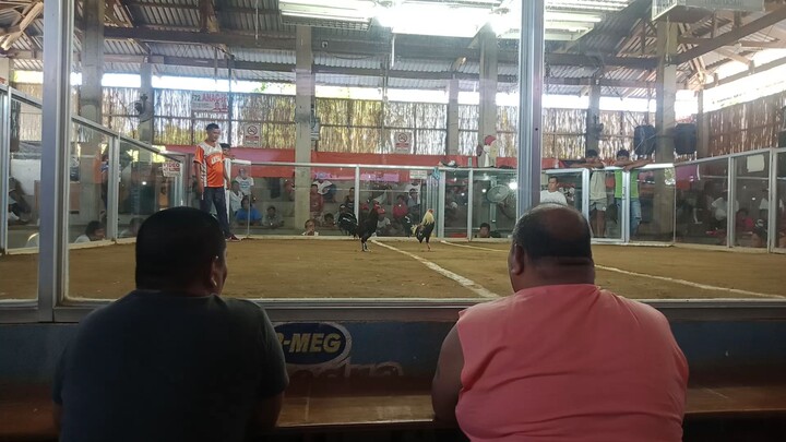 win mayahin