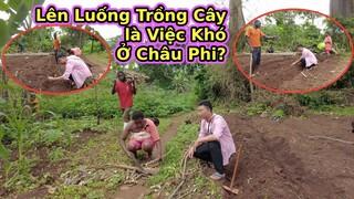 Hướng dẫn Gia đình anh bạn Châu Phi Quy hoạch Khu vườn||2Q Vlogs Cuộc Sống Châu Phi