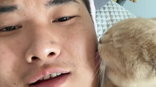 我和小猫已经是不知天地为何物了