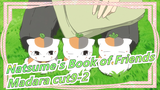 [Natsume's Book of Friends]Madara cut9-2