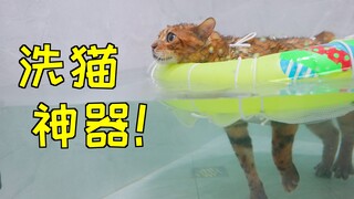 我做了个三岁小孩都能轻松洗猫的装置！