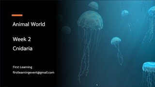 การจำแนกสัตว์กลุ่ม Cnidaria