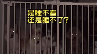 睡个觉咋这么难啊
