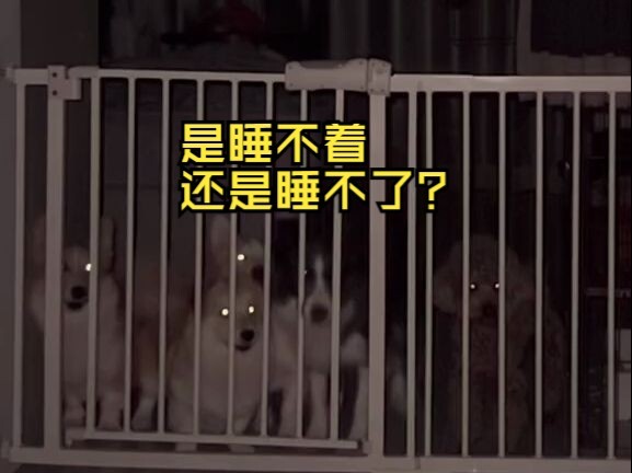 睡个觉咋这么难啊