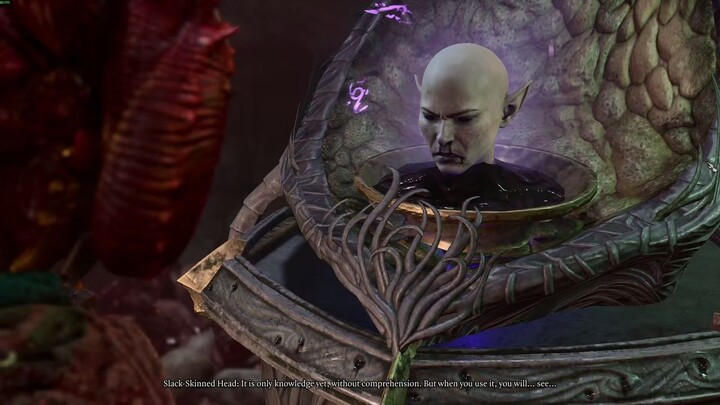 Baldur's Gate 3(Good)-Playing With The Talking Head