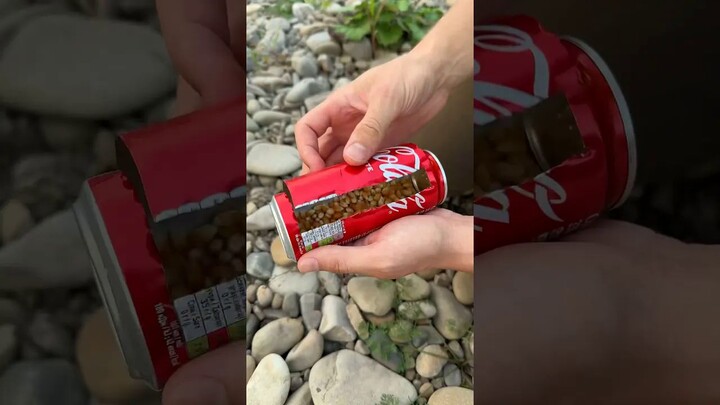 ทักษะเอาตัวรอดในป่า 🌳🔥