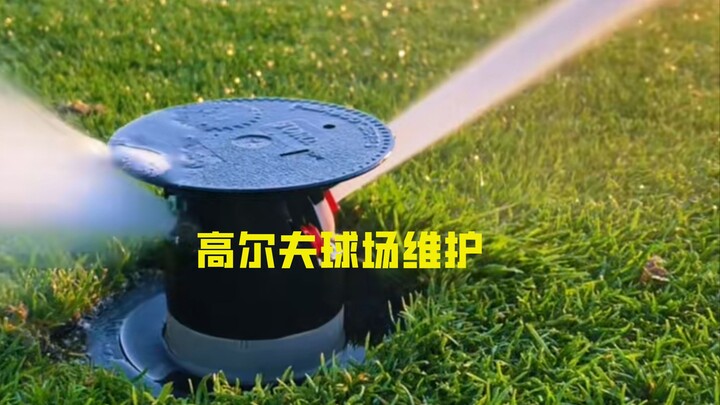 高尔夫球场的维护成本有多高？