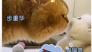 Ketika Wu Xiaoyu mencuri makanan pedas