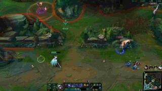Highlight lmht Shen, Talon
