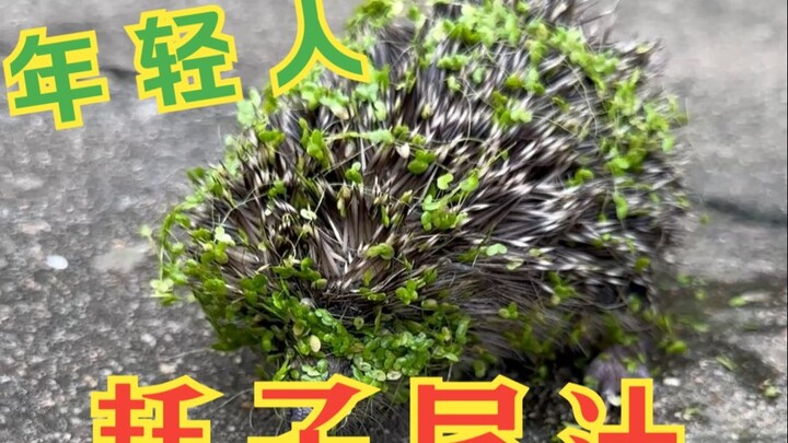 ในที่สุดภาพวาดในสมุดตอนเด็กก็ได้ใช้จริงสักที!