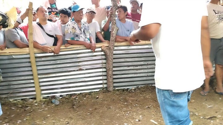 talisay lose ni boss onie