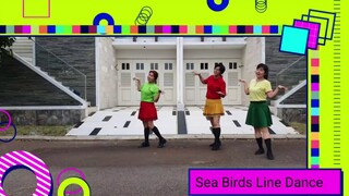 Sea Birds Line Dance  32C 4W  Choreo  Lee Sook Hee