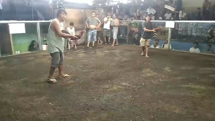 Dalusapi - Win
