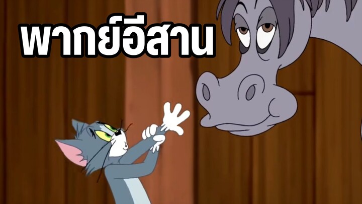 ทอมแอนด์เจอร์รี่ พากย์อีสาน เรื่องวุ่นๆของทอม