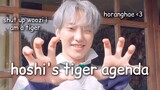 hoshi's endless tiger agenda