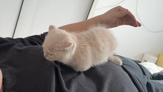 It's truly voluntary.